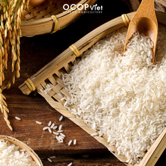 ST24 Rice - Image 4