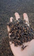 Clove Lalpari - Image 1