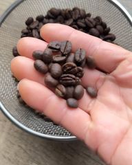 Fresh Roasted Coffee-shop online for premium quality beans for export internationally – product photo 2, product detail gallery