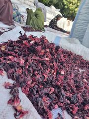 Full hibiscus flower – product photo 5, product detail gallery