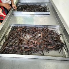 Vanilla Beans 16.5cm Long Rich Aroma Whole Gourmet Pods 10kg Natural for Restaurants Chefs at Great Price - Image 2