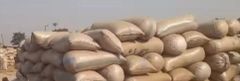 Sesame Seed – product photo 5, product detail gallery