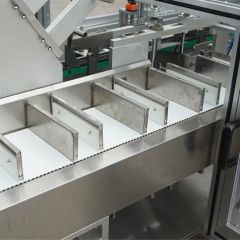 Automatic Egg Roll Cartoning Machine with Sorting Counting Device - Image 3