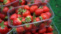 Fresh Strawbery Royal Sovereign – product photo 5, product detail gallery