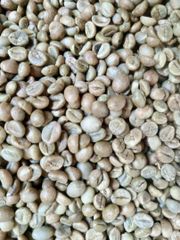 Indonesian Robusta Green Coffee Beans Grade 1 Special Quality Reliable Supply For Bulk - Image 4