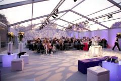 Big Pavilion for Commercial Event - Image 2