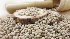 Agriculture, Food & Beverage – product photo 2, product detail gallery