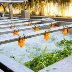Durable Strawberry Washing Machine Fruit and Vegetable Processing Production Line - Image 2