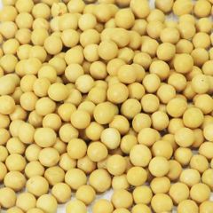 Bulk Yellow Soybeans, Premium New Crop Non-GMO Soybean for Cooking, Sprouting & Food Processing Soybean Seed - Image 6