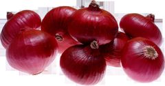 Fresh Onion - Image 2