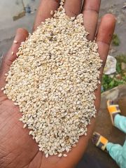Grade A premium sesame seeds – product photo 1, product detail gallery