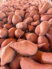 Sweet potatoes - Image 1