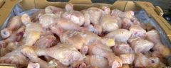 Frozen Chicken Drumstick - Image 1