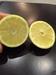 FRESH YELLOW SEEDLESS LEMONS FOR SALE!! CLASS 1 EXPORT QUALITY EUREKA LEMONS FOR EXPORT – product photo 4, product detail gallery