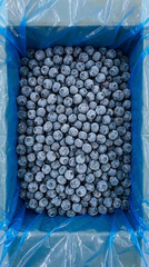 Premium Fresh / Frozen Fruits & Veg (IQF / Whole / Sliced / Diced) - Image 4