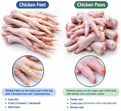 Grade A chicken feet and paws - Image 1