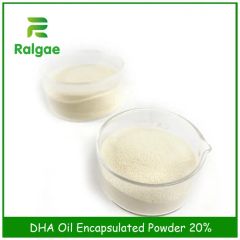 10% DHA Oil Milk Powder Encapsulated Powder Health Nutrition Supplements Shelf Life >12 Months Transport Package 20kg Carton Box - Image 1