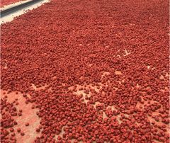Factory Directly Wholesale High Quality Preserved Red Sweet Sour Salty Dried Plum Fruits Cheap Price Chinese Dried Red Plum - Image 5