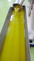 EXTRA VIRGIN OLIVE OIL - Image 1