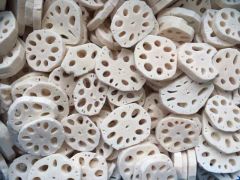 Sinocharm Lotus Root Chunk 6-9g FDA HACCP ISO -18℃ Carton MOQ100 5000Mt - Image 5
