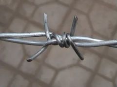 Barbed Iron Wire Galvanized Barbed Wire for Protection - Image 1