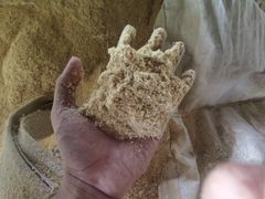 Pine Wood Shaving - Image 1