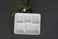 Food Grade Popular 12.5'' 5 Compartment Sugarcane Tray Disposable Bagasse Tableware - Image 3