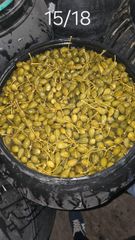 Attachment 8