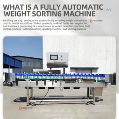 Stainless Steel Fruit Roller Sorting Machine - Image 6