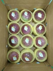 200g-700g/piece Common Cultivation Type Carton Box Packaging Sweet Taste Star Apple Export From Vietnam - Image 4