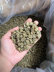 Vietnam Robusta Coffee Bean s16 – product photo 1, product detail gallery