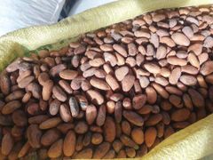 Grade1 cocoa beans - Image 1