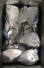 Frozen Moonfish Frozen Seafood Sea Frozen Fish - Image 5