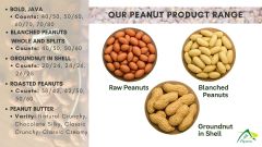 Blanched Peanut Split 5060, Blanched Peanut Split 50 60, Blanched Peanut Split 5060,Peanut, Peanuts, Arachis hypogaea, Blanched Peanuts Split, Blanched Peanuts Kernels, Blanched Peanuts , Indian Blanched Peanut Split, Indian Blanched Peanut, Peanuts Kernels Split, Peanuts Kernels ,Peanut With Shell, Peanuts, Indian Peanut, Blanched Peanut Split Supplier From India. - Image 3