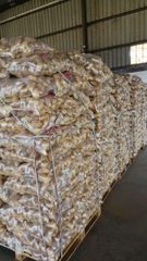 Premium Egyptian Fresh Potatoes - Export Quality - Image 4