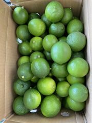 SEEDLESS LEMON - Image 2