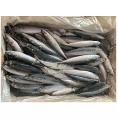 Wholesale seafood delicious fresh fish frozen tunny tuna fish - Image 3