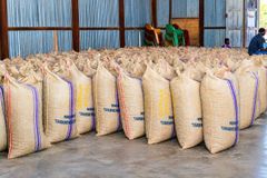 Organic Raw Cashew Nuts - Image 2