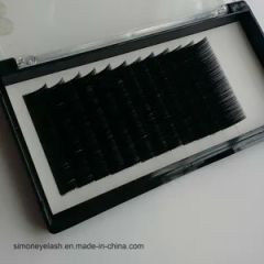 Korea Individual Lashes Different Curl Thickness Strip Lashes - Image 3