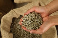 Robusta and Arabica cooffebeans - Image 2