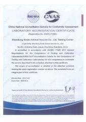 ISO 17025 certificate of Shandong Sinder Technology Co., Ltd – certificate photo, supplier certificates section