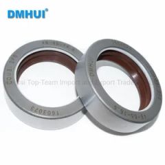 Durable Combi Sf6 Type Mechanical Oil Seal for Various Applications - Xingtai Top-Team Import and Export Trade Co., Ltd.