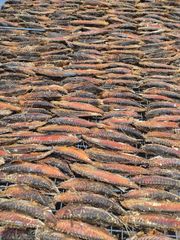 Dried Maasi (Maldive Fish / Masmin) – Hard Dried Tuna, Indian Origin – product photo 5, product detail gallery