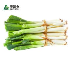 High Quality China Fresh Green Onion/Scallion Grade a+ Trademark aowoshi HS Code 0703902000 Shef Time 5 Months Model NO. - Image 1