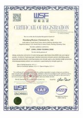 ISO certificate certificate from Shandong Bluesun Chemicals Co., Ltd.