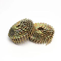 Factory Price Electro Galvanized Coil Roofing Ring Nails for House Construction/Pneumatic Nailer/Wooden Pallet Nail - Tianjin Jinchi Metal Products Co., Ltd.