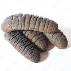 Dried Sea Cucumber - Image 5