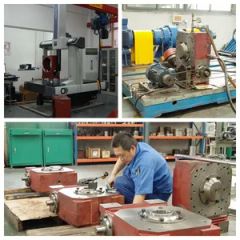 High Quality Cone Worm Gear - Image 5