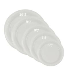 Hot Selling Made in China Disposable Party PS 6 Inch Plates Plastic Type PS Model NO. 6 inch Size 7''/9''/10'' Trademark JIASHUN - Image 1
