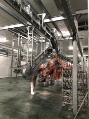 Fully Automatic Slaughtering Equipment for Cattle - Image 3